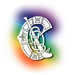The Camogie Association
