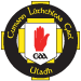 Ulster GAA